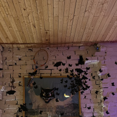 GOOD FRIDAYS HALLOWEEN -- BONN...